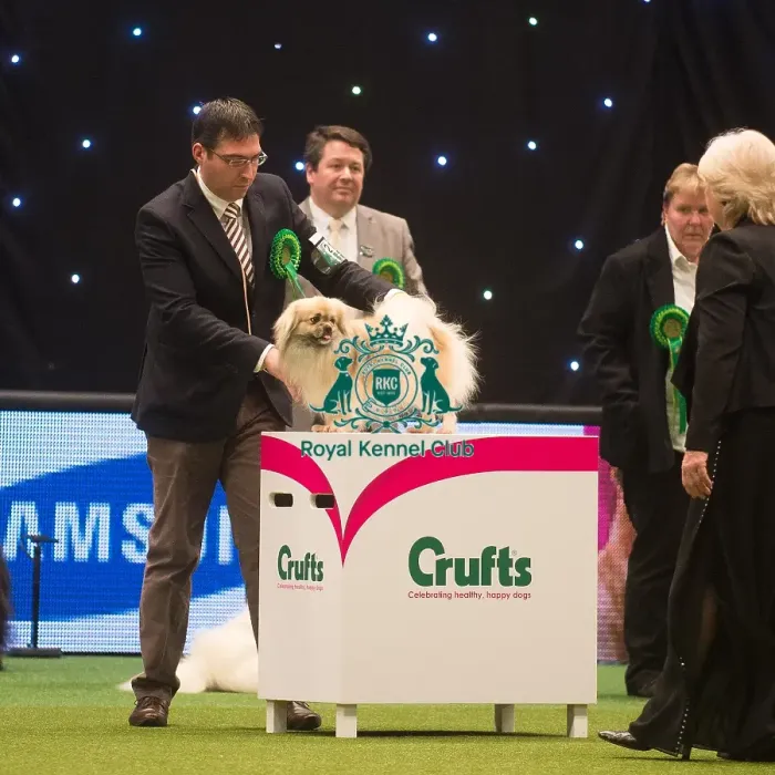 Framed Print : Crufts 2015 Framed Print : Crufts 2015