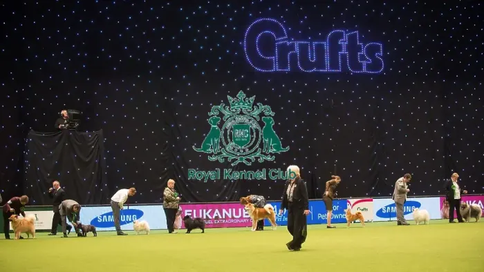 Framed Print : Crufts 2015 Framed Print : Crufts 2015