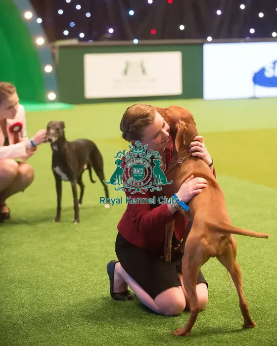 Framed Print : Crufts 2015 Framed Print : Crufts 2015
