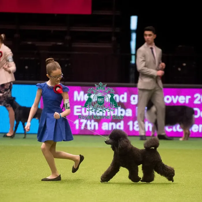Framed Print : Crufts 2015 Framed Print : Crufts 2015