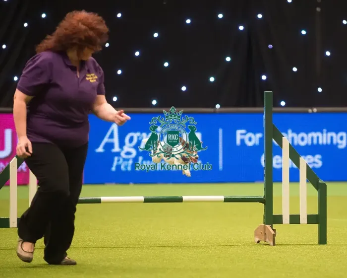 Framed Print : Crufts 2015 Framed Print : Crufts 2015