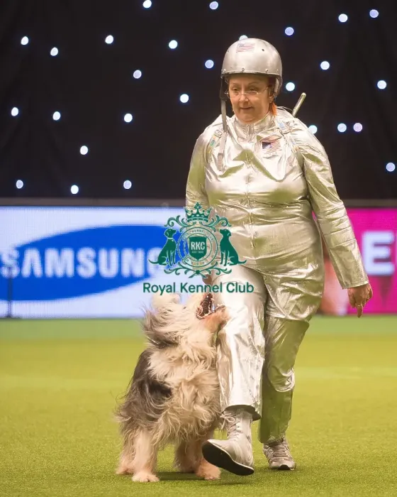 Framed Print : Crufts 2015 Framed Print : Crufts 2015