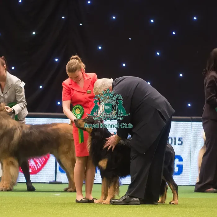 Framed Print : Crufts 2015 Framed Print : Crufts 2015
