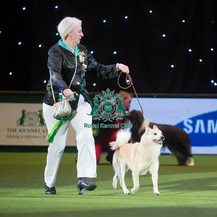 Framed Print : Crufts 2015 Framed Print : Crufts 2015