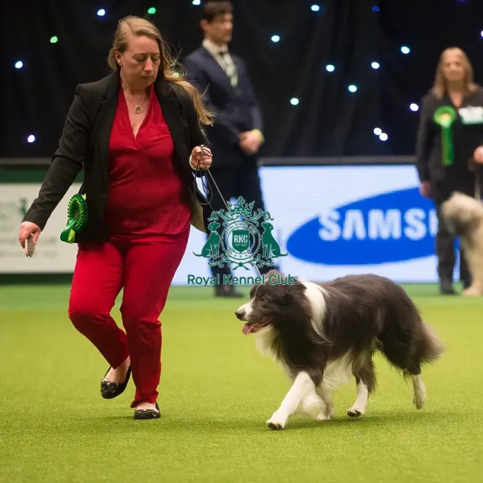 Framed Print : Crufts 2015