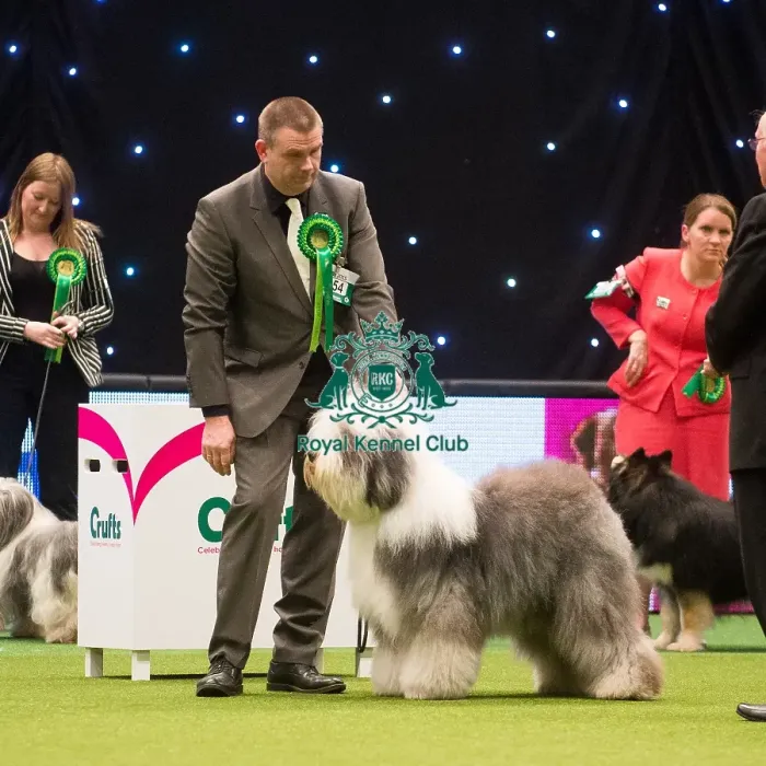 Framed Print : Crufts 2015 Framed Print : Crufts 2015