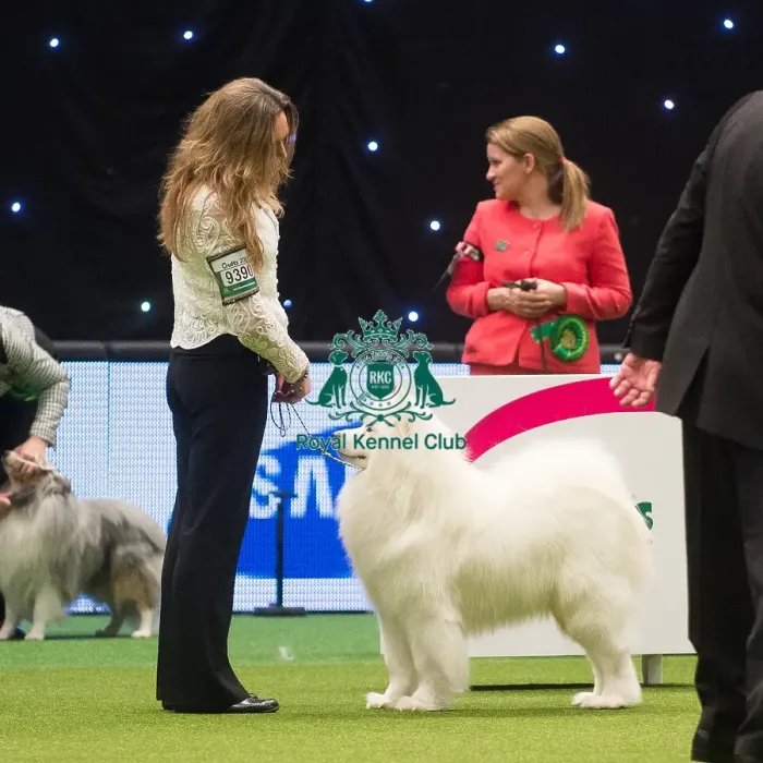 Framed Print : Crufts 2015
