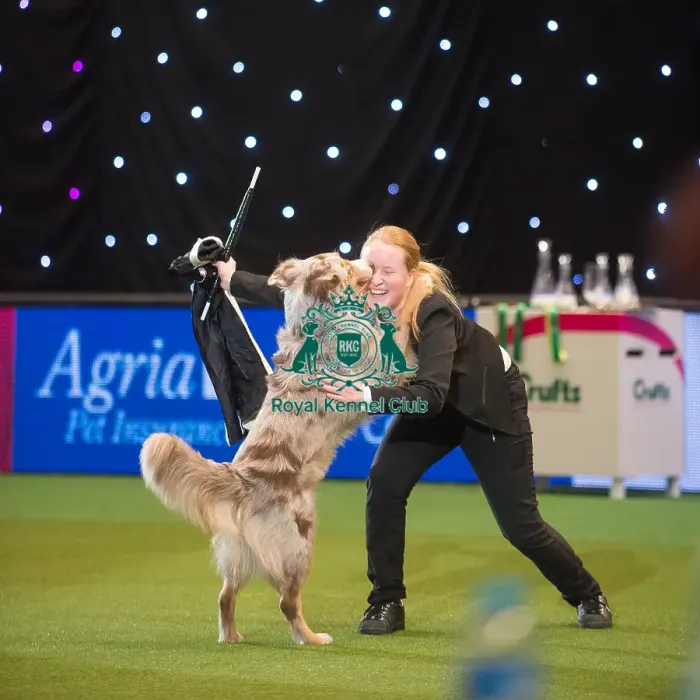 Framed Print : Crufts 2015
