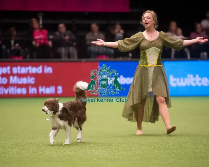 Framed Print : Crufts 2015 Framed Print : Crufts 2015