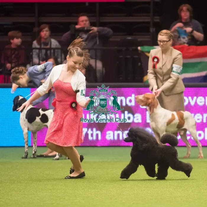 Framed Print : Crufts 2015 Framed Print : Crufts 2015