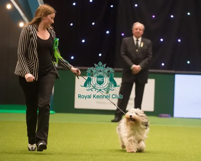 Framed Print : Crufts 2015 Framed Print : Crufts 2015