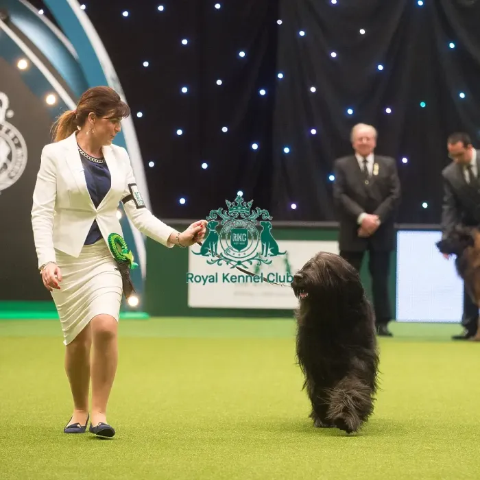 Framed Print : Crufts 2015 Framed Print : Crufts 2015