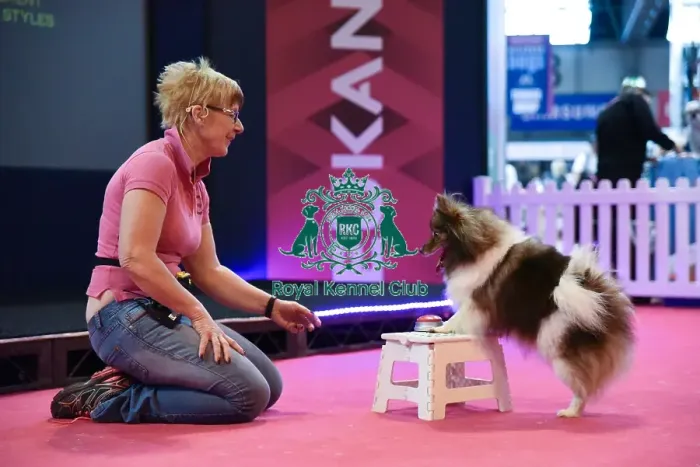 Framed Print : Crufts 2016 Framed Print : Crufts 2016