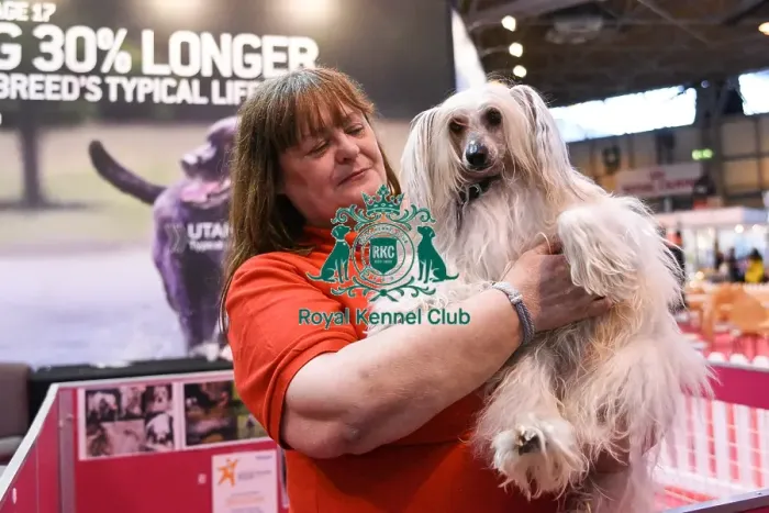 Framed Print : Crufts 2016 Framed Print : Crufts 2016