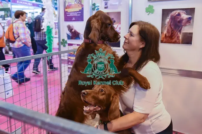 Framed Print : Crufts 2016