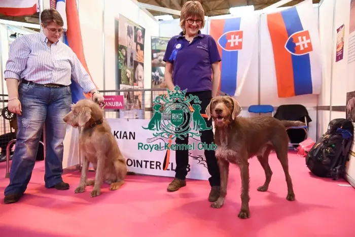Framed Print : Crufts 2016 Framed Print : Crufts 2016
