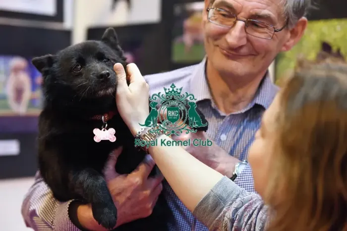 Framed Print : Crufts 2016
