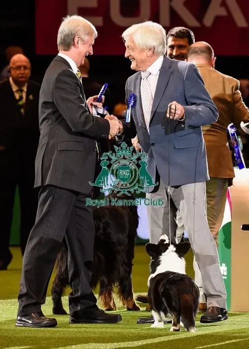 Framed Print : Crufts 2016 Framed Print : Crufts 2016