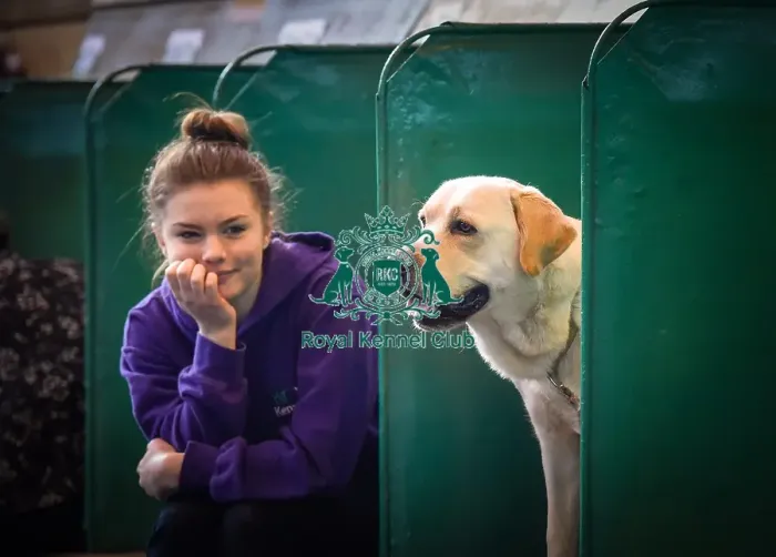 Framed Print : Crufts 2016 Framed Print : Crufts 2016