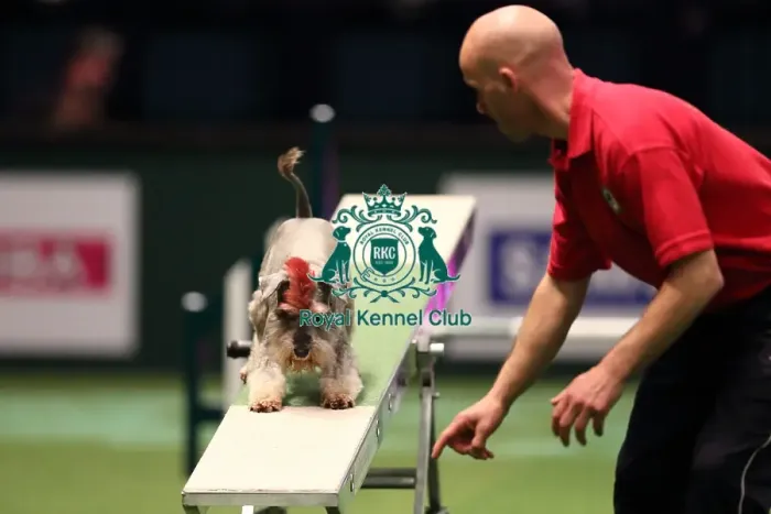 Framed Print : Crufts 2016 Framed Print : Crufts 2016