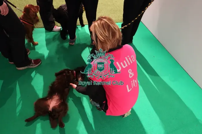 Framed Print : Crufts 2016 Framed Print : Crufts 2016