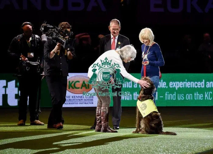 Framed Print : Crufts 2016 Framed Print : Crufts 2016