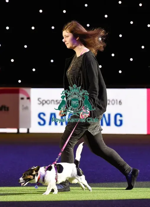 Framed Print : Crufts 2016 Framed Print : Crufts 2016
