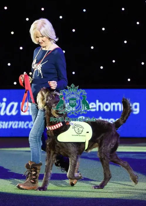 Framed Print : Crufts 2016 Framed Print : Crufts 2016