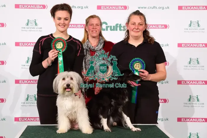 Framed Print : Crufts 2016 Framed Print : Crufts 2016