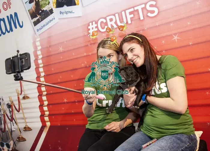 Framed Print : Crufts 2016 Framed Print : Crufts 2016
