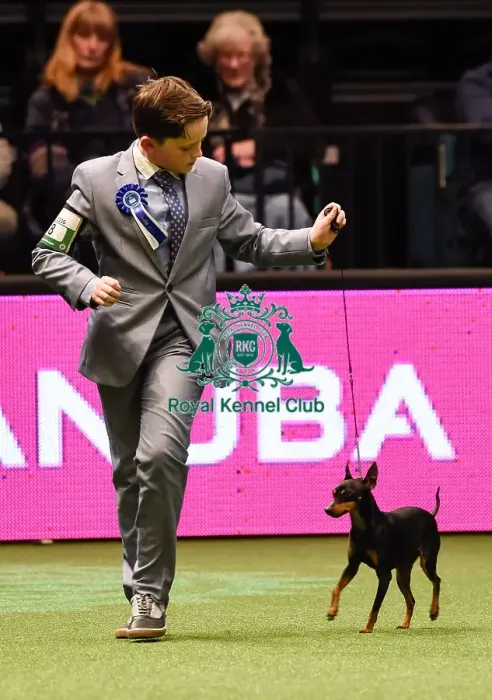 Framed Print : Crufts 2016 Framed Print : Crufts 2016