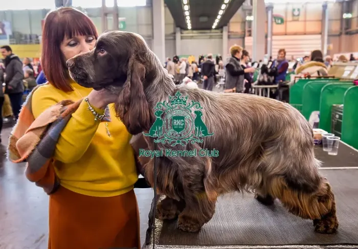 Framed Print : Crufts 2016 Framed Print : Crufts 2016