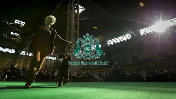 Framed Print : Crufts 2016