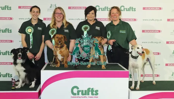 Framed Print : Crufts 2016 Framed Print : Crufts 2016