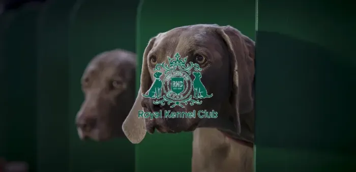 Framed Print : Crufts 2016 Framed Print : Crufts 2016