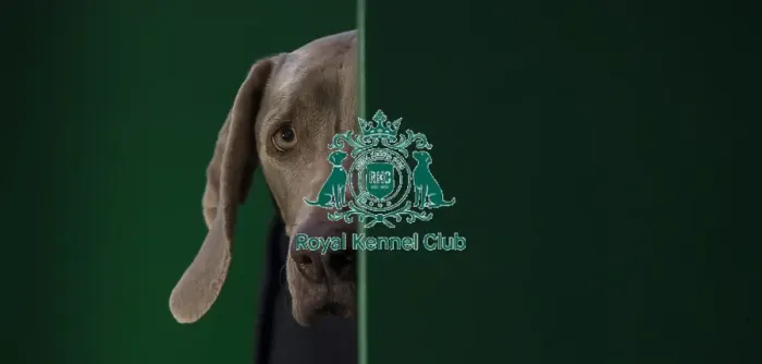 Framed Print : Crufts 2016 Framed Print : Crufts 2016