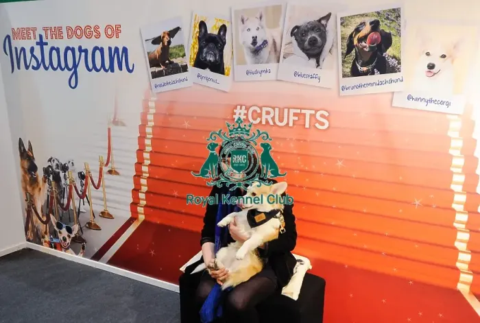 Framed Print : Crufts 2016 Framed Print : Crufts 2016