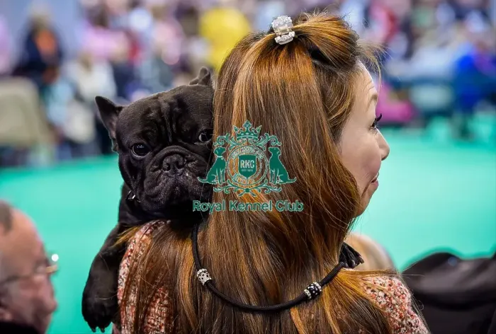 Framed Print : Crufts 2016 Framed Print : Crufts 2016