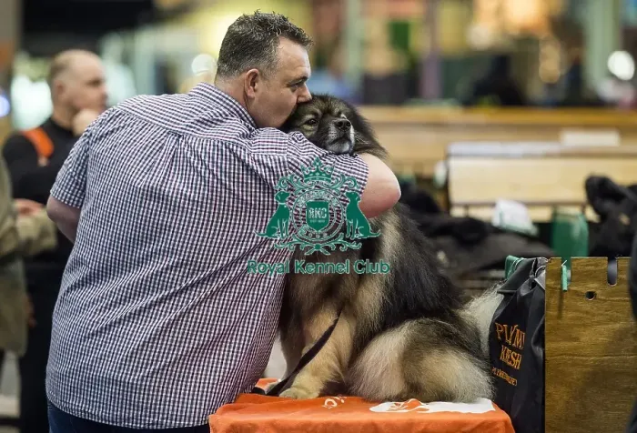 Framed Print : Crufts 2016 Framed Print : Crufts 2016