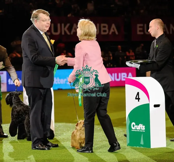 Framed Print : Crufts 2016 Framed Print : Crufts 2016