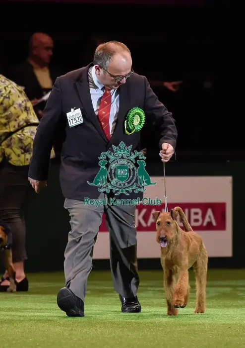 Framed Print : Crufts 2016 Framed Print : Crufts 2016