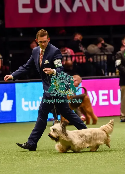 Framed Print : Crufts 2016 Framed Print : Crufts 2016