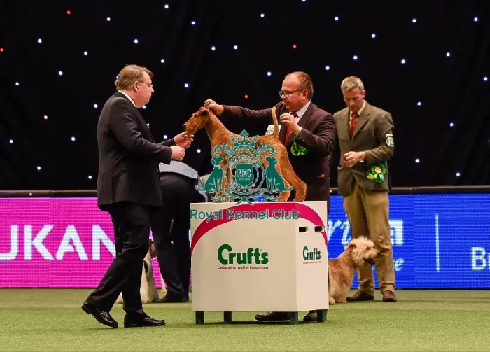 Framed Print : Crufts 2016 Framed Print : Crufts 2016