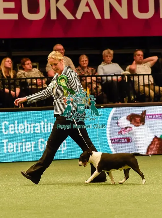 Framed Print : Crufts 2016 Framed Print : Crufts 2016