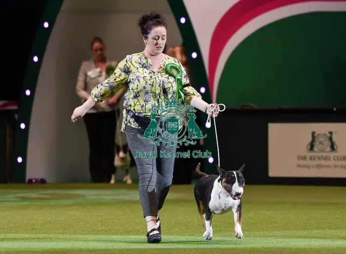 Framed Print : Crufts 2016 Framed Print : Crufts 2016