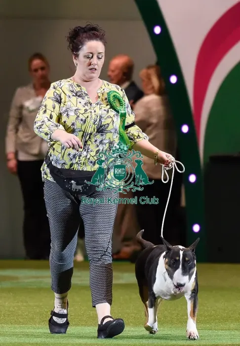 Framed Print : Crufts 2016 Framed Print : Crufts 2016