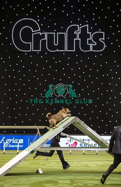 Crufts 2016