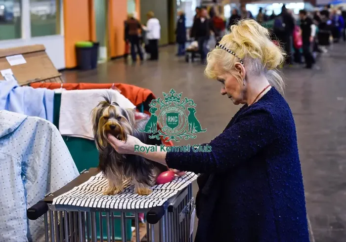 Framed Print : Crufts 2016 Framed Print : Crufts 2016