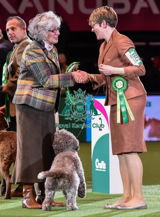 Framed Print : Crufts 2016 Best of Breed Framed Print : Crufts 2016 Best of Breed