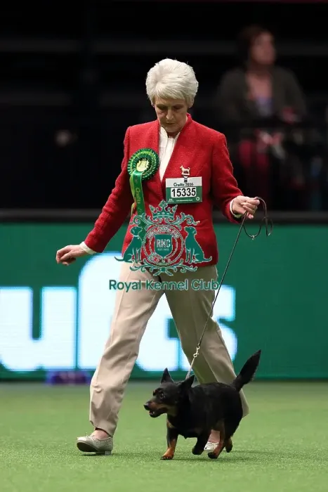 Framed Print : Crufts 2016 Best of Breed